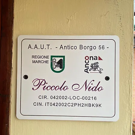 Piccolo Nido